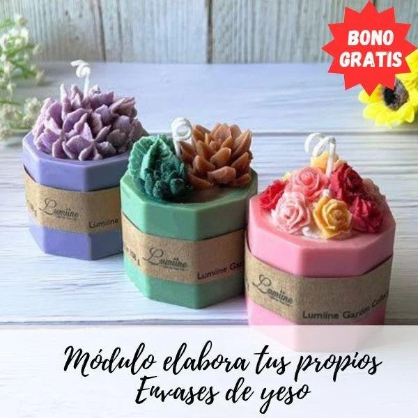 Crea tus propios envases en yeso