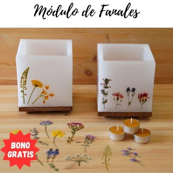 Aprende a elaborar fanales