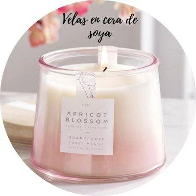 Velas de soya, ejemplo presentado en el curso