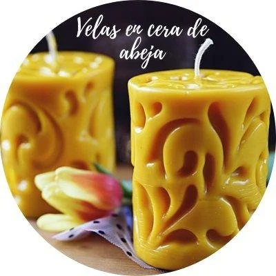 Cera de abeja, ejemplo presentado en el curso